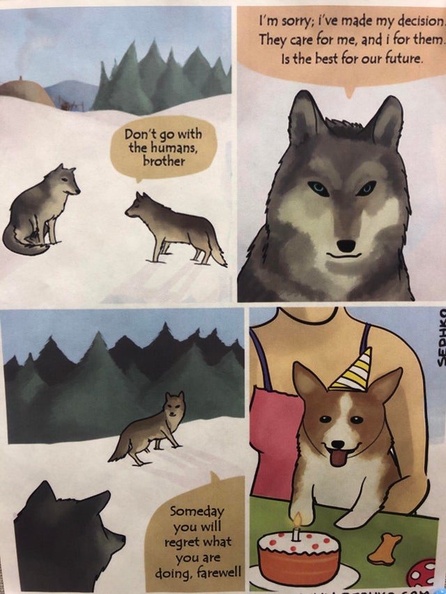 Baby Ape-Men & the Self-Domestication Theory 2 Dog Domestication comic